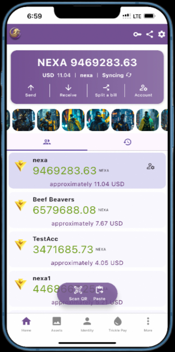 Wally Wallet Screen 1